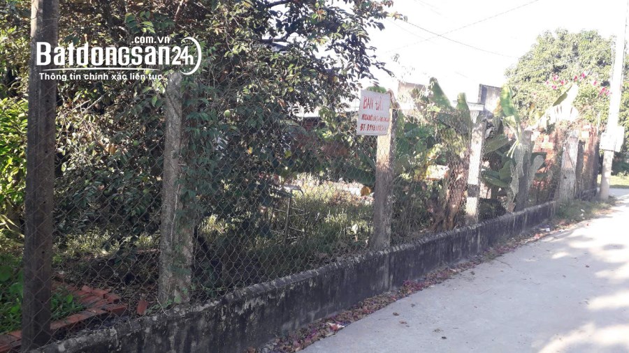 Bán đất Đường Trần Văn Trà (Tp Tây Ninh cũ), Phường Tân Ninh, Tây Ninh