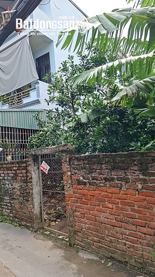 Bán đất Đường Ngọc Thụy (Q Long Biên cũ), Phường Long Biên, TP Hà Nội