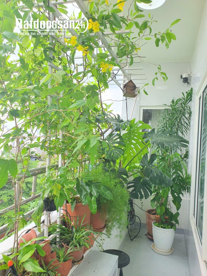Bán căn hộ Đường Thái Thuận (Q Quận 2 cũ), Phường An Phú, Hồ Chí Minh