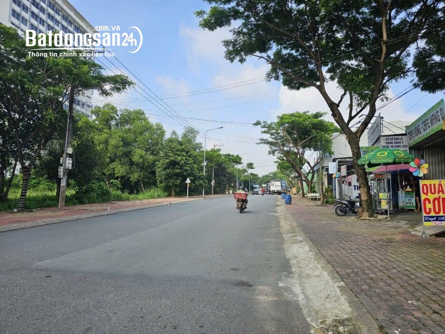 Bán đất ĐX82 (Thủ Dầu Một cũ), Phường Chánh Hiệp, Hồ Chí Minh