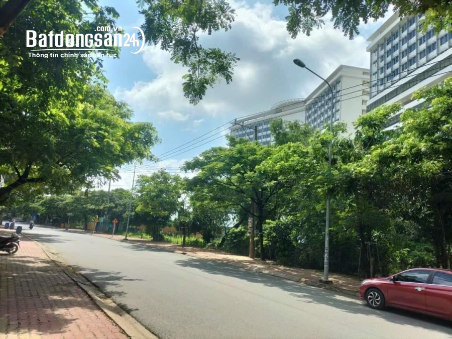 Bán đất ĐX82 (Thủ Dầu Một cũ), Phường Chánh Hiệp, Hồ Chí Minh