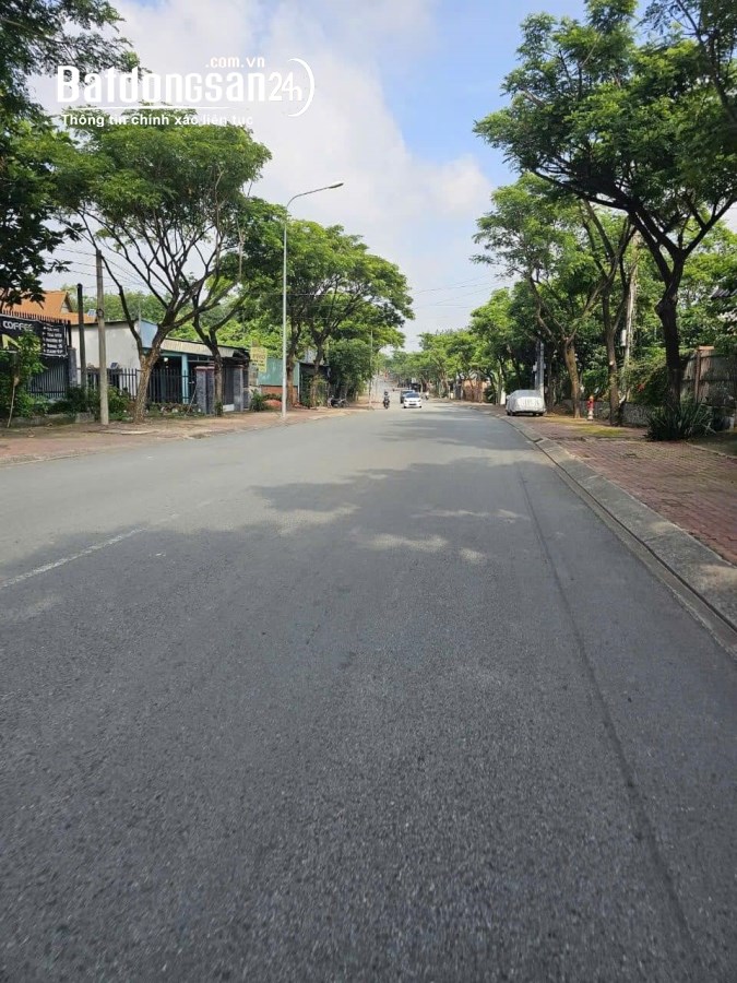 Bán đất ĐX82 (Thủ Dầu Một cũ), Phường Chánh Hiệp, Hồ Chí Minh