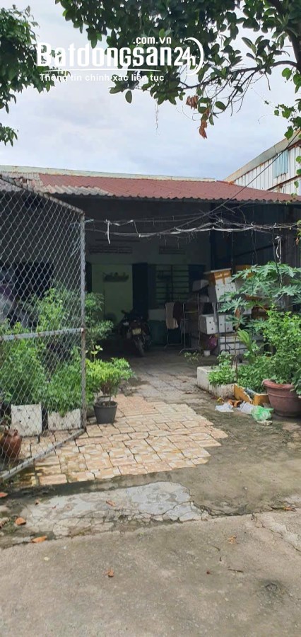 Bán đất Hoàng Văn Thái (Q Liên Chiểu cũ), Phường Hòa Khánh, Đà Nẵng