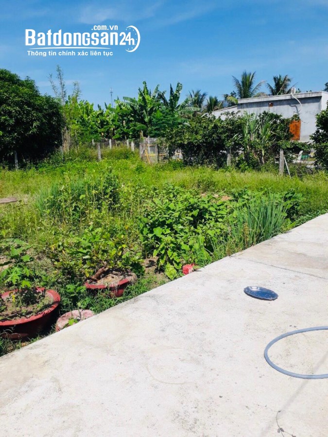 Bán đất Tỉnh lộ 2 (Huyện Diên Khánh cũ), Xã Diên Lạc, Khánh Hòa