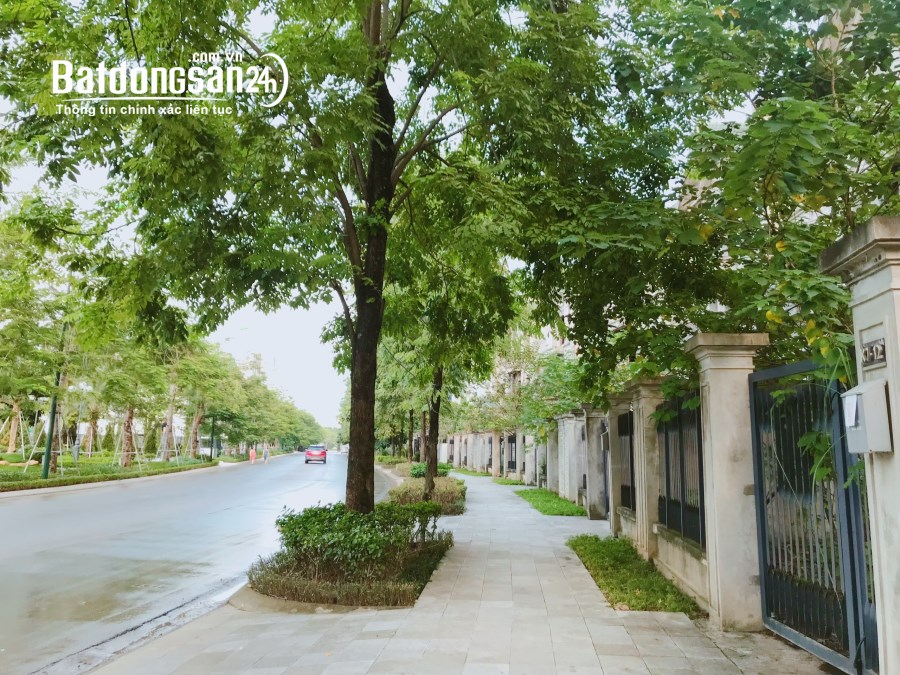 BÁN BIỆT THỰ MẶT HỒ K7 CIPUTRA, DT 331M2. GIÁ 165.7 TỶ - NHÀ THÔ