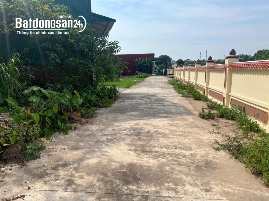 Bán đất thổ cư 63m2 sổ đỏ riêng tại Đắc Sở, Hoài Đức TP Hà Nội 