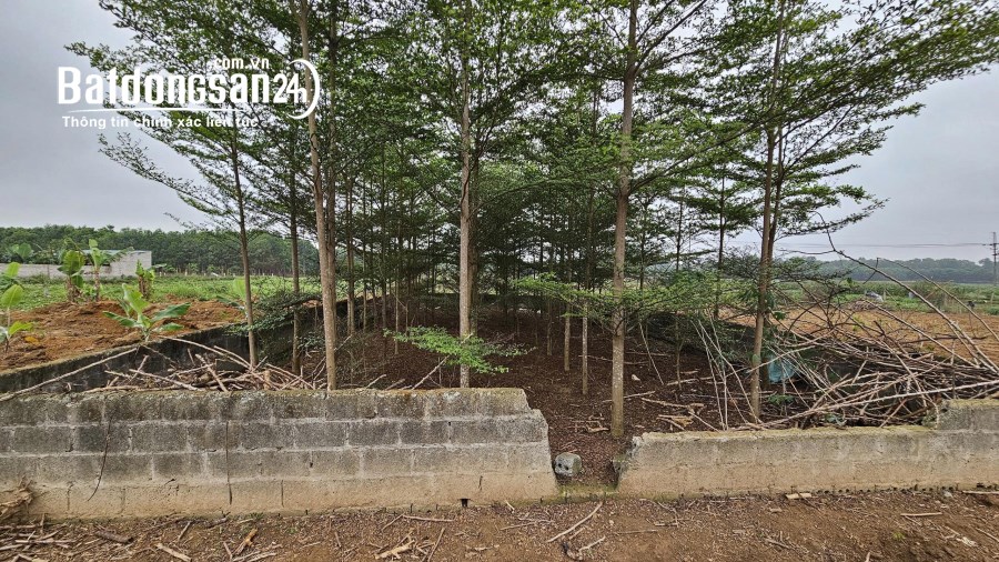 Bán đất gần Quốc Lộ 21, Xã Đoài Phương (TX Sơn Tây cũ), Hà Nội