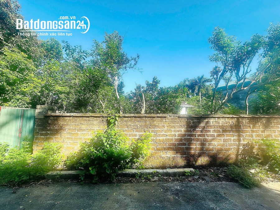 Bán đất Đường Quốc lộ 21, Xã Đoài Phương (TX Sơn Tây cũ), Hà Nội
