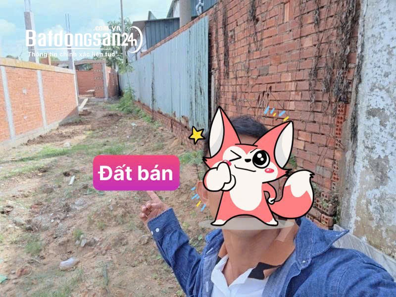 Bán đất Đường Bình Hòa 11, Phường Bình Hòa (TP Thuận An cũ), TP Hồ Chí Minh