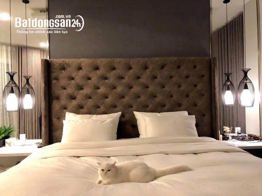 Bán nhà mặt tiền Đường Hoa Lan, Phường Cầu Kiệu (Q Phú Nhuận cũ), Hồ Chí Minh