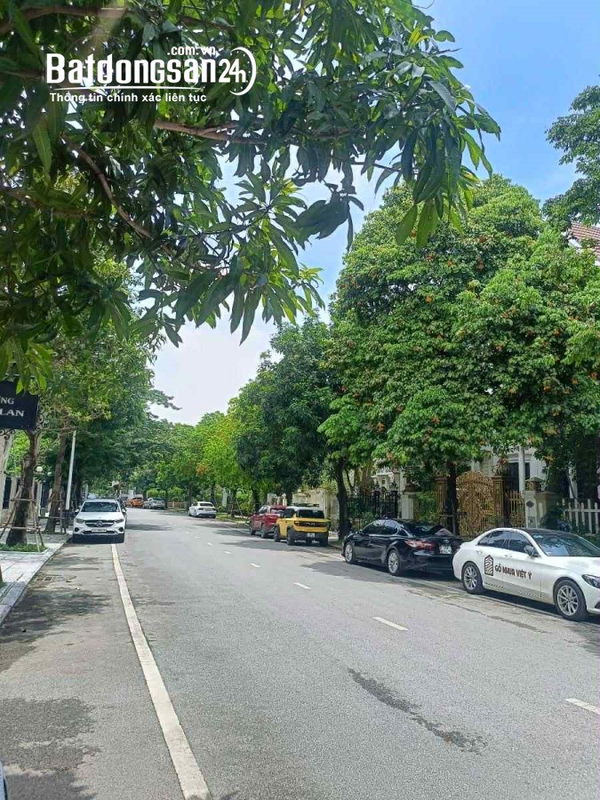 Bán Biệt thự-Villas Làng Việt Kiều Châu Âu-TSQ, Phường Hà Đông (Q Hà Đông cũ), Hà Nội