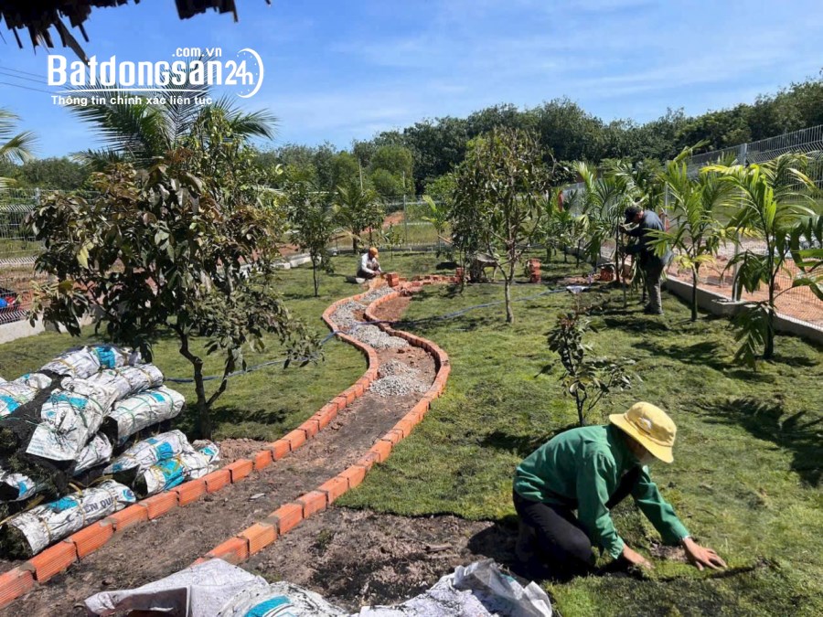 Bán đất Đường ĐT 750, Xã Long Hòa (H Dầu Tiếng cũ), Hồ Chí Minh
