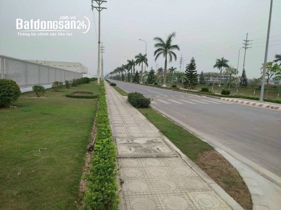 Bán 56050 m2 đất trong khu công nghiệp Thăng Long 3 Tỉnh Phú Thọ