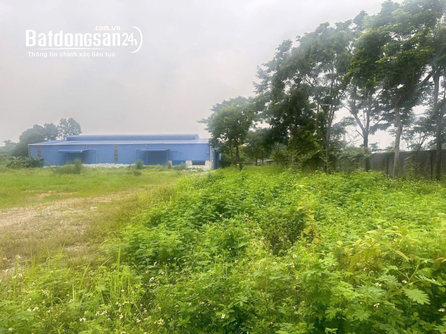 Bán 11155 m2 đất phi nông nghiệp có 1000 m2 nhà xưởng ở Vĩnh Yên, Tỉnh Phú Thọ