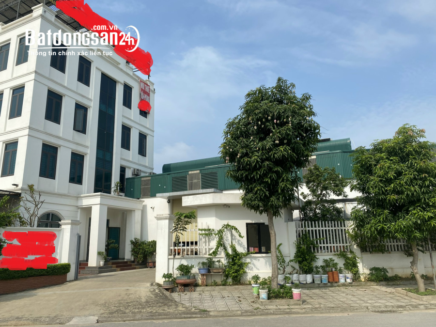 Bán 1627 m2 đất thương mại dịch vụ có xưởng và văn phòng ở Phường Vĩnh Phúc (Tp Vĩnh Yên cũ), Phú T