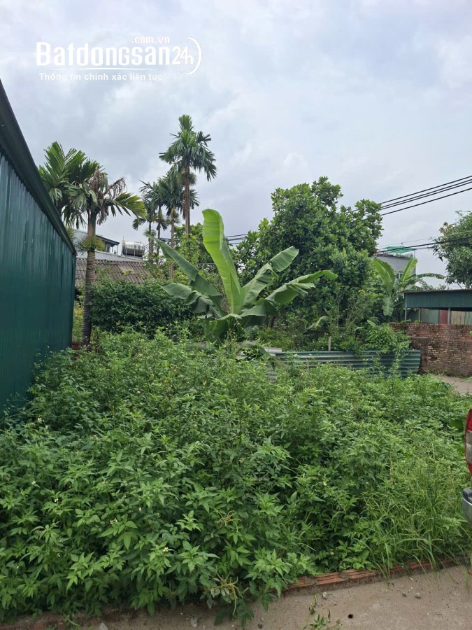 Bán đất mặt tiền Đường Xuân Đỗ, Phường Long Biên (Q Long Biên cũ), TP Hà Nội
