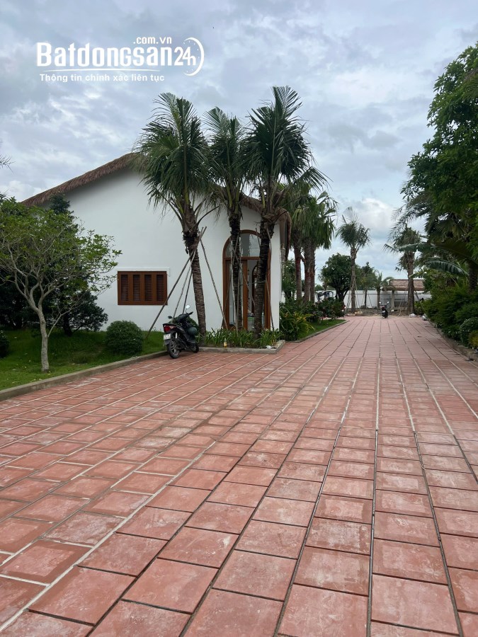 Bán Biệt thự Đường Đỗ Văn Dậy, Xã Hóc Môn (H Hóc Môn cũ), Hồ Chí Minh