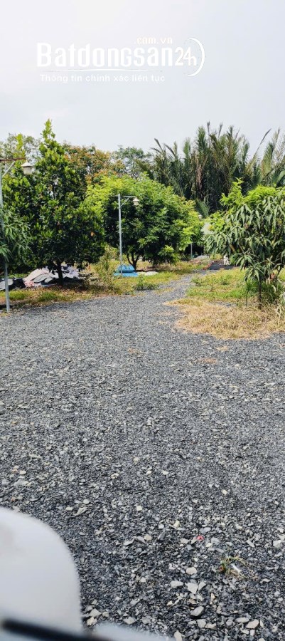 Bán đất gần Quốc Lộ 50, Xã Bình Hưng (H Bình Chánh cũ), Hồ Chí Minh