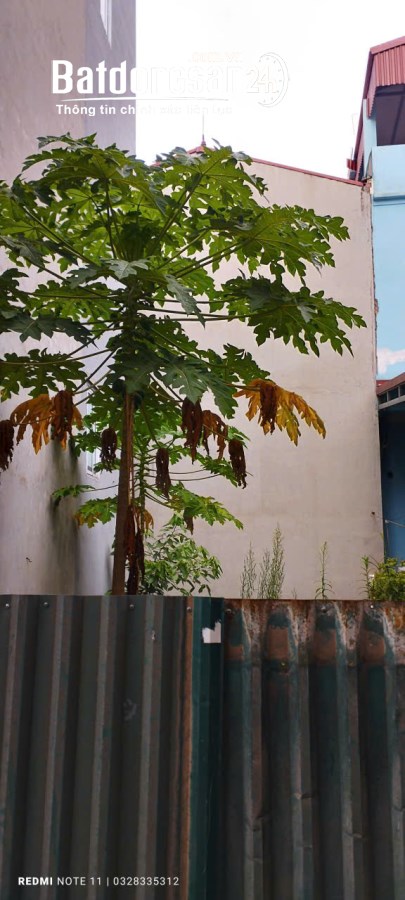 74m2 ĐẤT VÂN CANH - VUÔNG ĐẸP - 10m RA VÀNH ĐAI 3.5 - Ô TÔ TRÁNH, ĐỪNG ĐỖ, HẬU ÁI