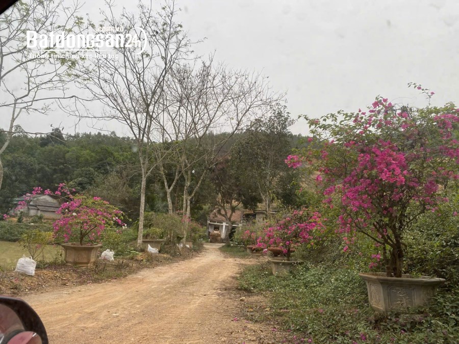 Bán 18858.8m2 đất nghỉ dưỡng view đẹp Thanh Thủy, Phú Thọ. Giá 1tr/m2