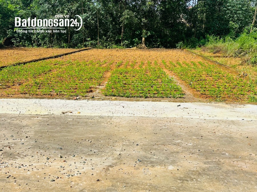 Bán đất LÀN 2 Quốc lộ 21, Xã Phú Cát (H Quốc Oai cũ), Hà Nội