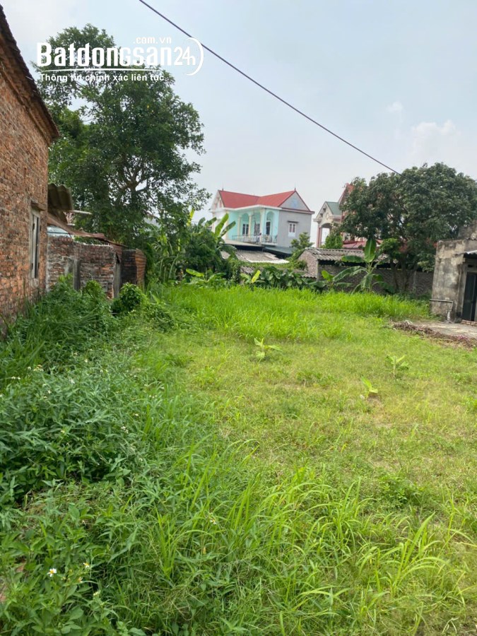 Bán đất nền phân lô Đường Lương Tài, Xã Trung Chính (Huyện Lương Tài cũ), Bắc Ninh