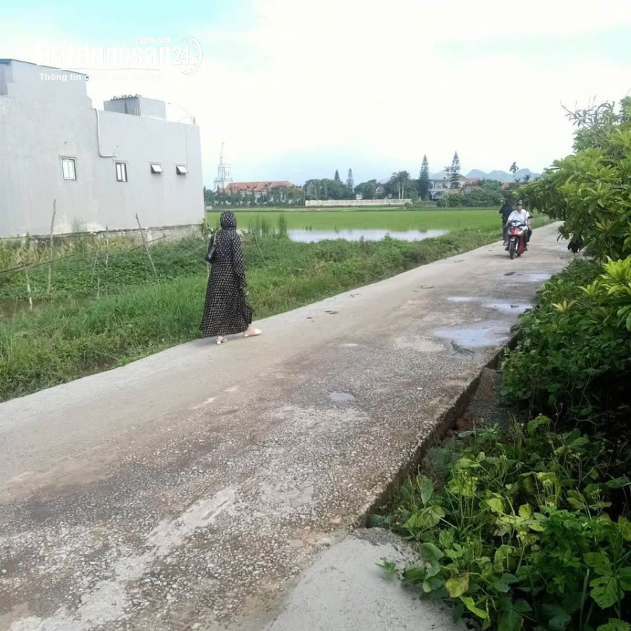 Bán đất gần Đường TL 524, Xã Nga An (Huyện Nga Sơn cũ), Thanh Hóa