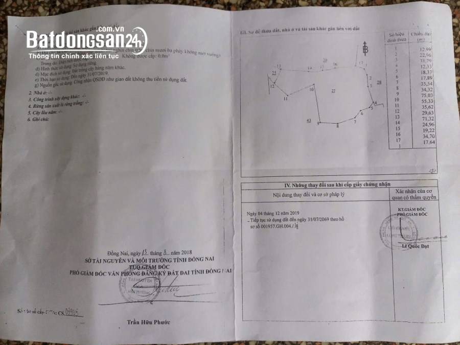 BÁN GẤP 2HA ĐẤT SIÊU ĐẸP TẠI CẨM ĐƯỜNG – GIÁ CHỈ 2 TỶ/SÀO