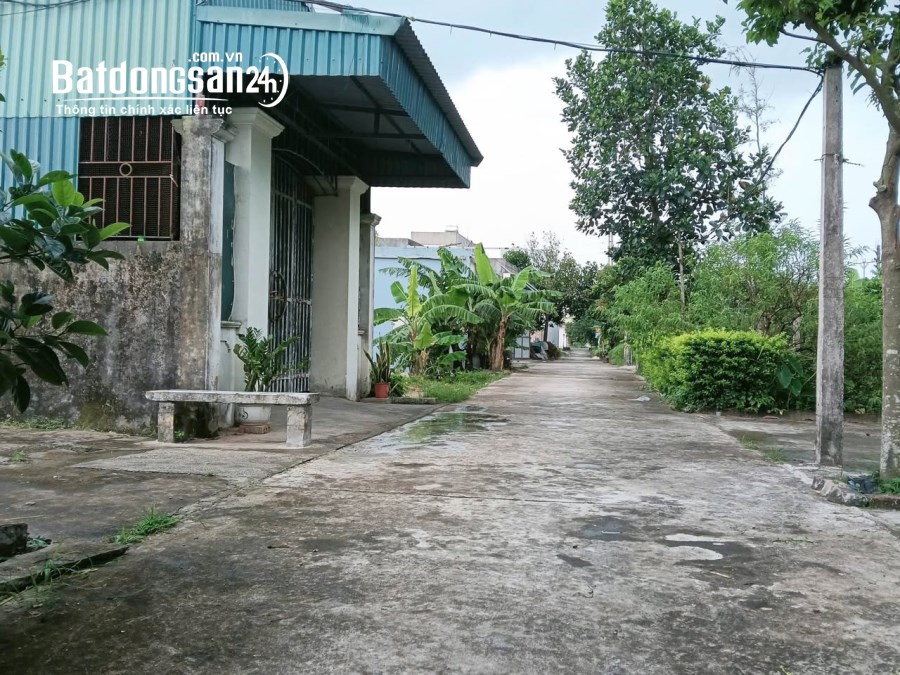Bán đất Xã Tây Tiền Hải (Tây lương, Huyện Tiền Hải cũ), Hưng Yên