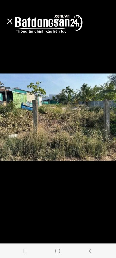 BÁN 195M2 THỔ CƯ Xã Tân Lân (Huyện Cần Đước cũ), Tây Ninh