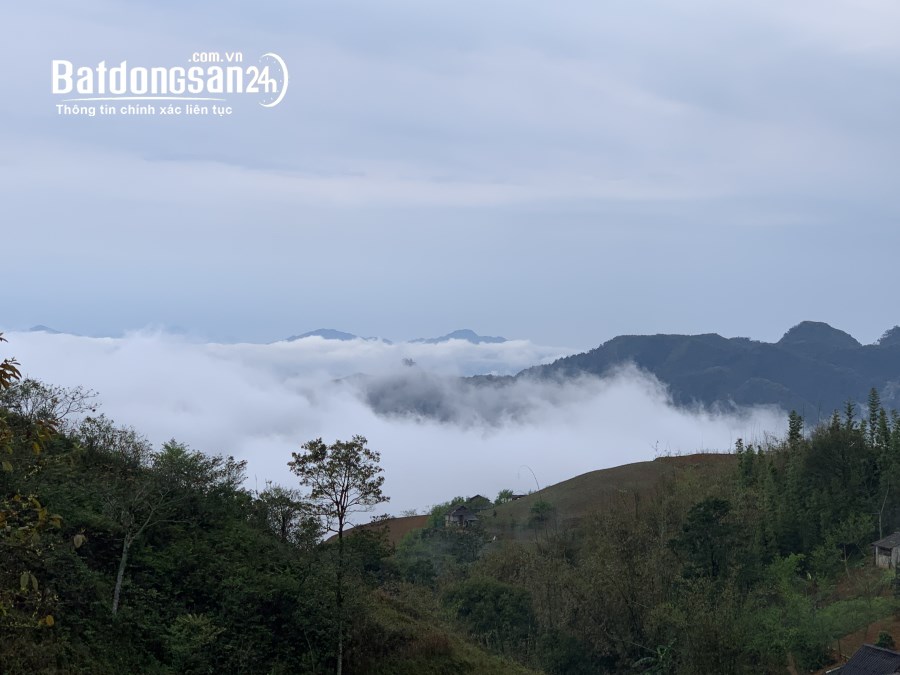 Bán 76.000m² đất đường chính Noong Luông Xã Bao La (Huyện Mai Châu cũ), Phú Thọ