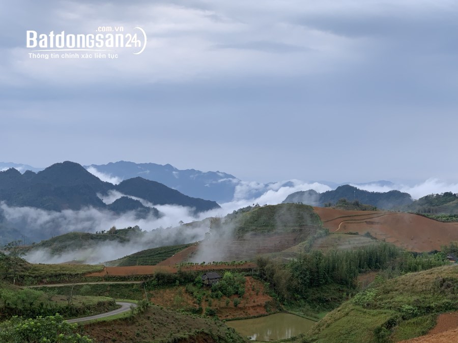 Bán 76.000m² đất đường chính Noong Luông Xã Bao La (Huyện Mai Châu cũ), Phú Thọ