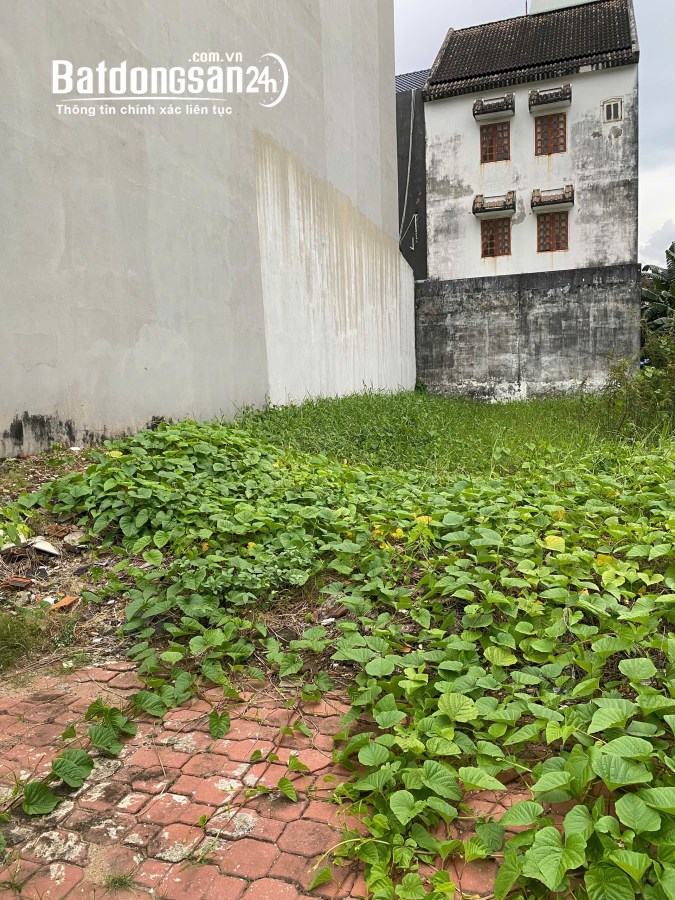 Bán đất nền phân lô Đường D2, Phường Phước Long (Quận 9 cũ), Hồ Chí Minh