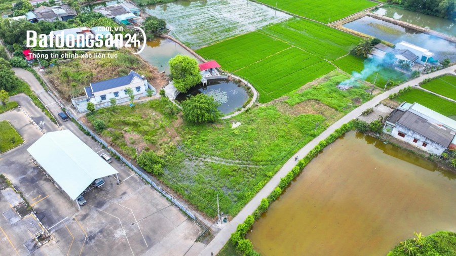 Bán đất Đường Bến Lức, Xã Bến Lức (Huyện Bến Lức cũ), Tỉnh Tây Ninh