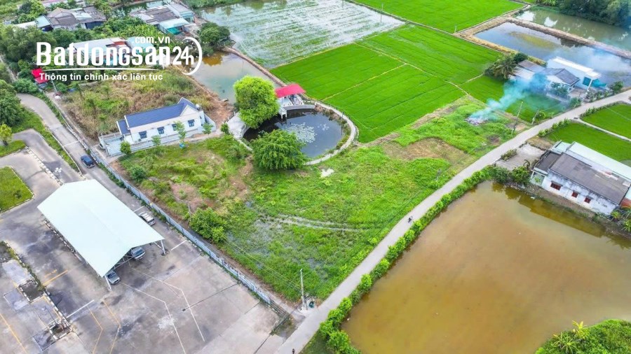 🌳 BÁN ĐẤT TRUNG TÂM BẾN LỨC – LONG AN, GIÁ TỐT 🌳