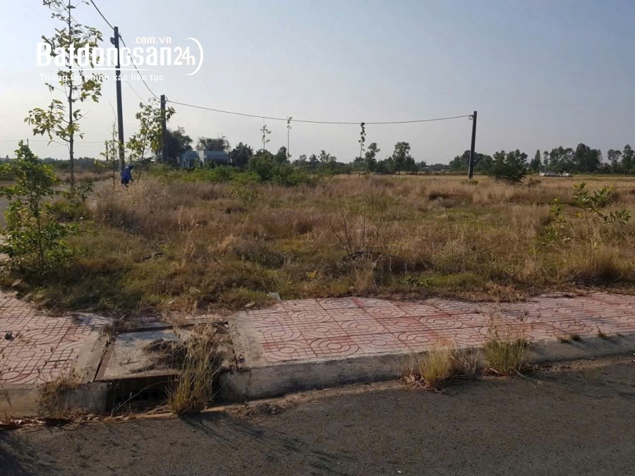 Bán đất Kế bên Chợ Trạm, Đường 50, Xã Cần Đước, Tây Ninh