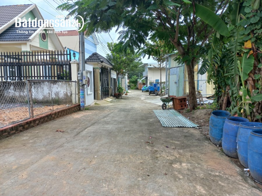 Đất 538m² Phước Thiền – Thổ cư 250m², ngang hơn 15m, nở hậu, giá 10 triệu/m2