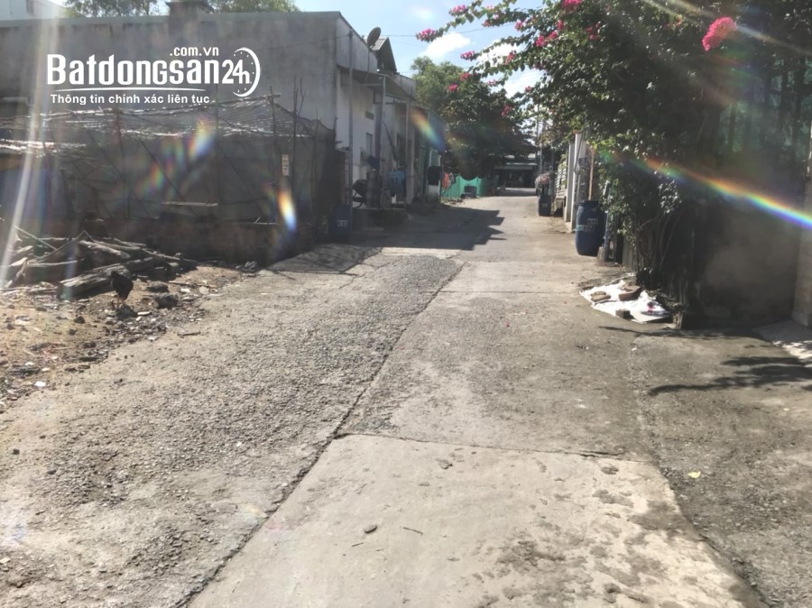  Đất 538m² Phước Thiền – Thổ cư 250m², ngang hơn 15m, nở hậu, giá 10 triệu/m2