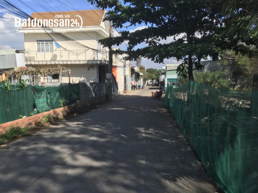  Đất 538m² Phước Thiền – Thổ cư 250m², ngang hơn 15m, nở hậu, giá 10 triệu/m2