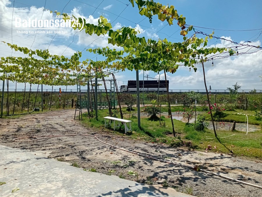Bán trang trại xã Phước Trung (Huyện Bác Ái cũ),PHAN RANG NINH THUẬN CŨ  KHÁNH HOÀ