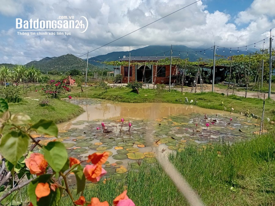 Bán trang trại xã Phước Trung (Huyện Bác Ái cũ),PHAN RANG NINH THUẬN CŨ  KHÁNH HOÀ