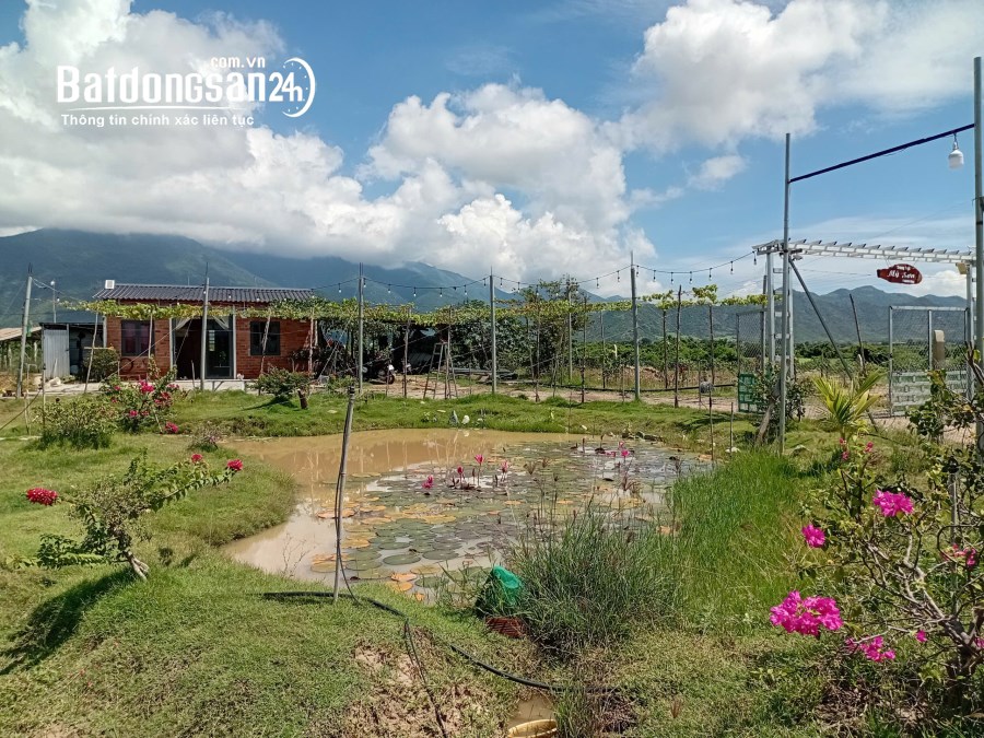 Bán trang trại Xã Bác Ái (Huyện Bác Ái cũ), Khánh Hòa