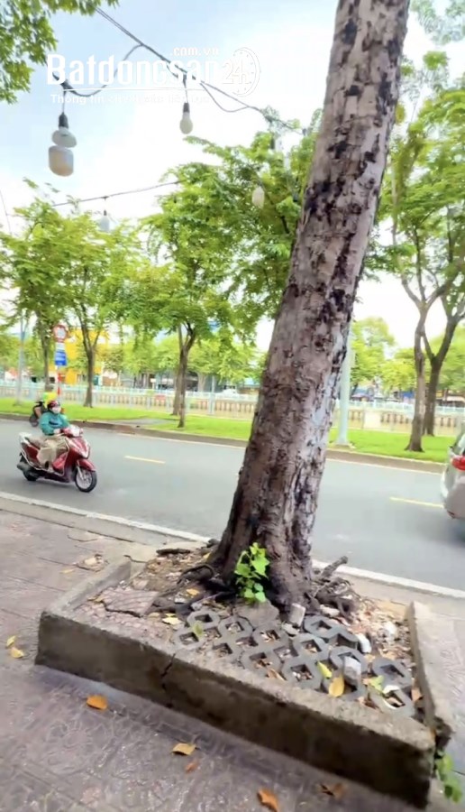Bán nhà mặt tiền Đường Hoàng Sa, Phường Sài Gòn (Quận 1 cũ), Hồ Chí Minh