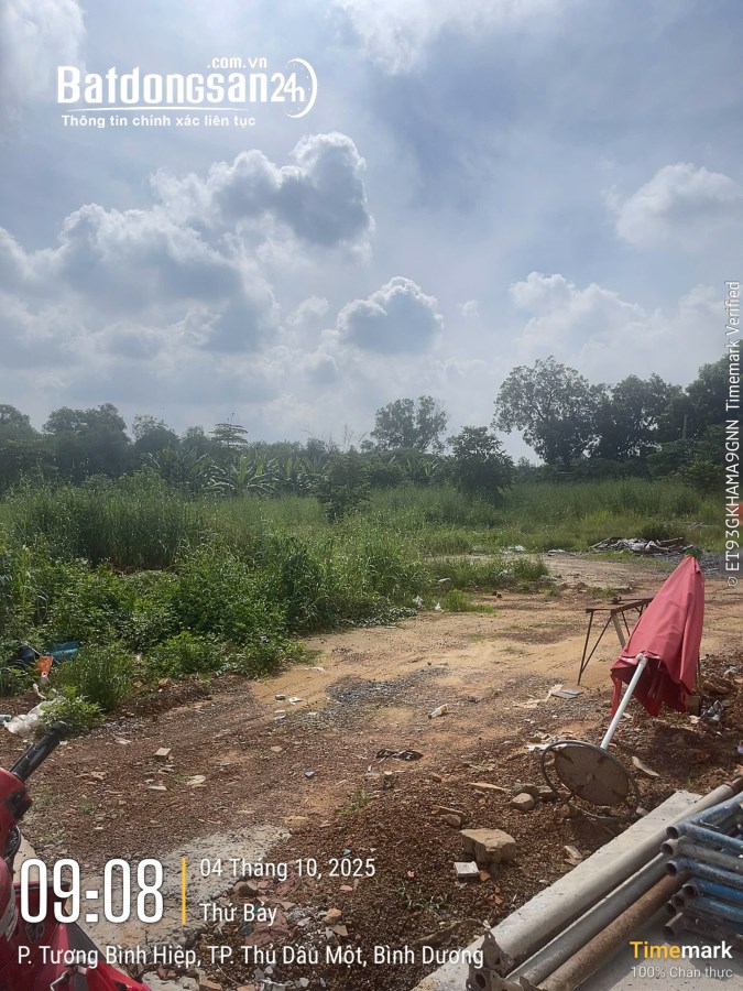 Bán đất Đường Hồ Văn Cống, Phường Chánh Hiệp (Thủ Dầu Một cũ), Hồ Chí Minh