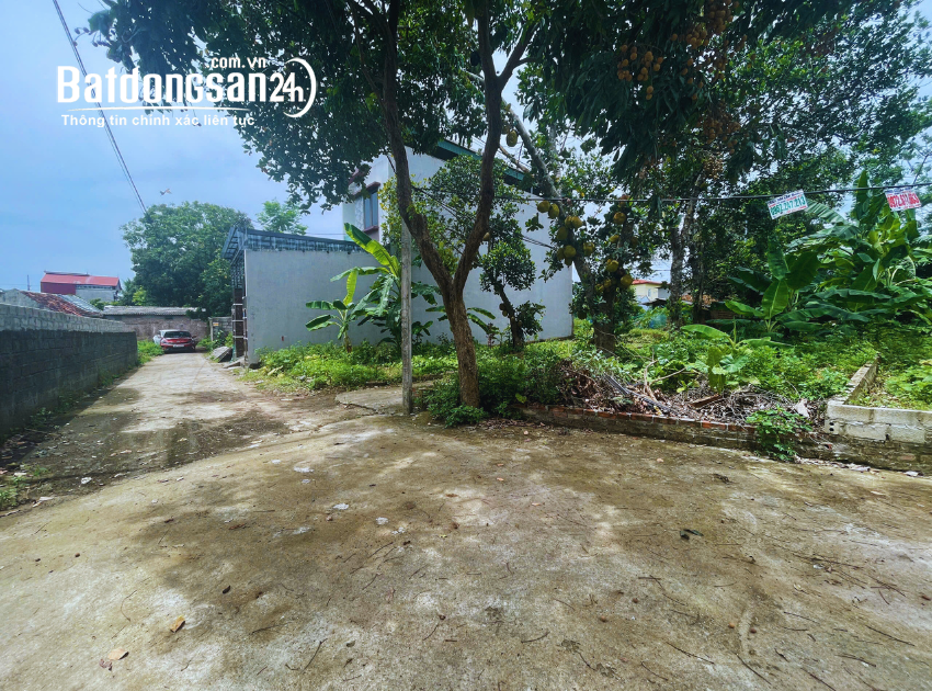 Bán đất nền phân lô Xã Đoài Phương (TX Sơn Tây cũ), Hà Nội