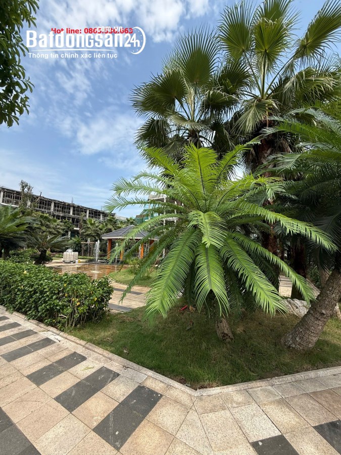 Bán Liền kề-Shophouse Xã Gia Lâm (H Gia Lâm cũ), Hà Nội