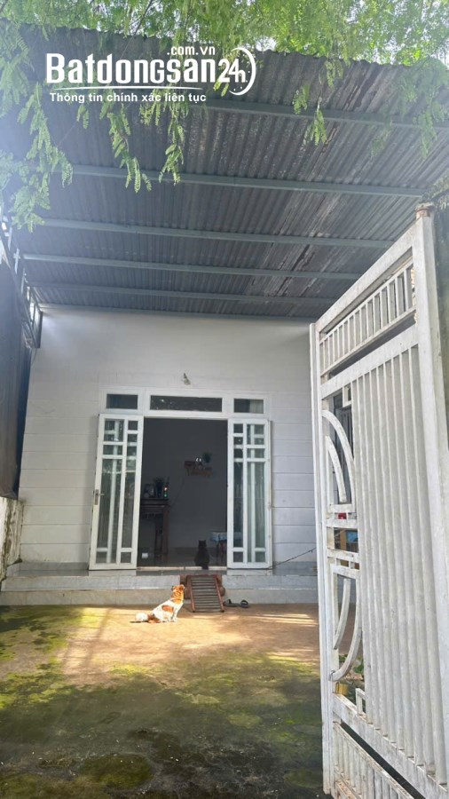 Bán nhà mặt tiền Đường Nơ Trang Gưh, Phường Thành Nhất (TP Buôn Ma Thuột cũ), Đắk Lắk