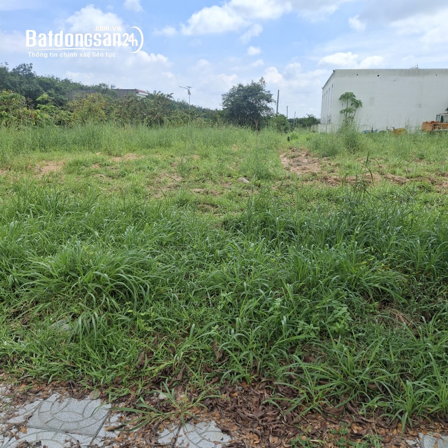 Bán đất nền phân lô Sài Gòn Land 2, Đường DH619, Phường Long Nguyên (H Bàu Bàng cũ)