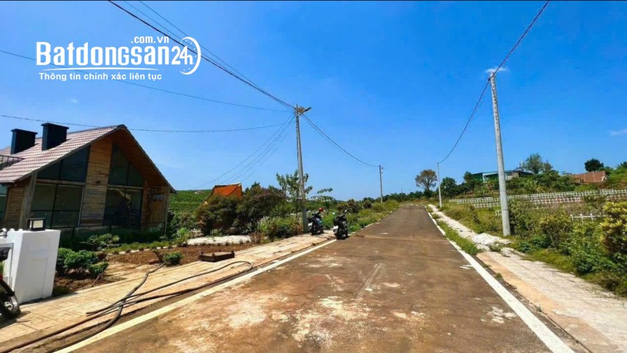 Bán đất nền phân lô Đường Số 17, Xã Bảo Lâm 1 (Huyện Bảo Lâm cũ), Tỉnh Lâm Đồng