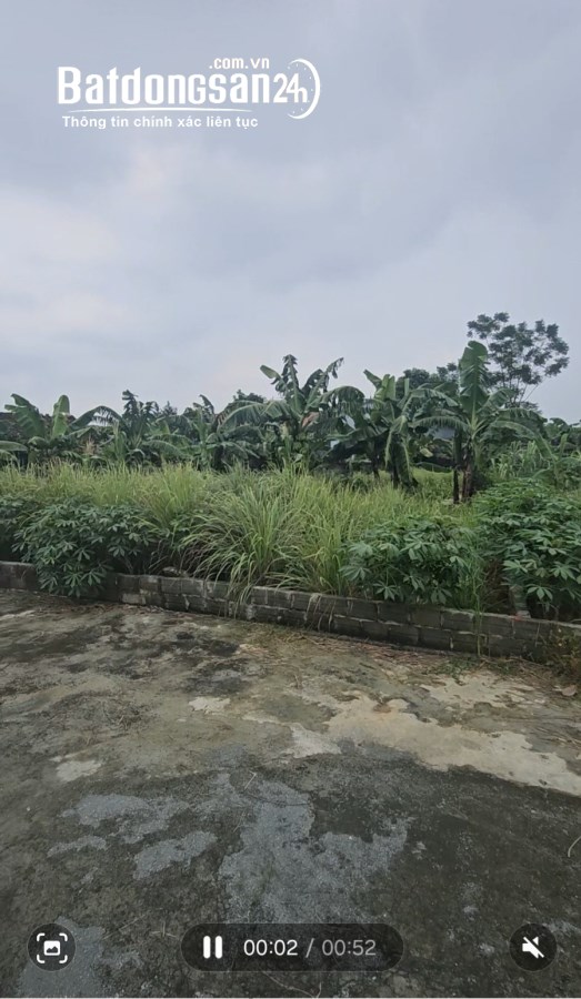 Bán đất Xã Phú Cát (H Quốc Oai cũ), Hà Nội